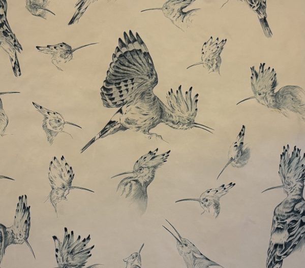 hermÈs silk scarf "les huppes" hoopoes multi grey by xavier de poret 1958 w/box
