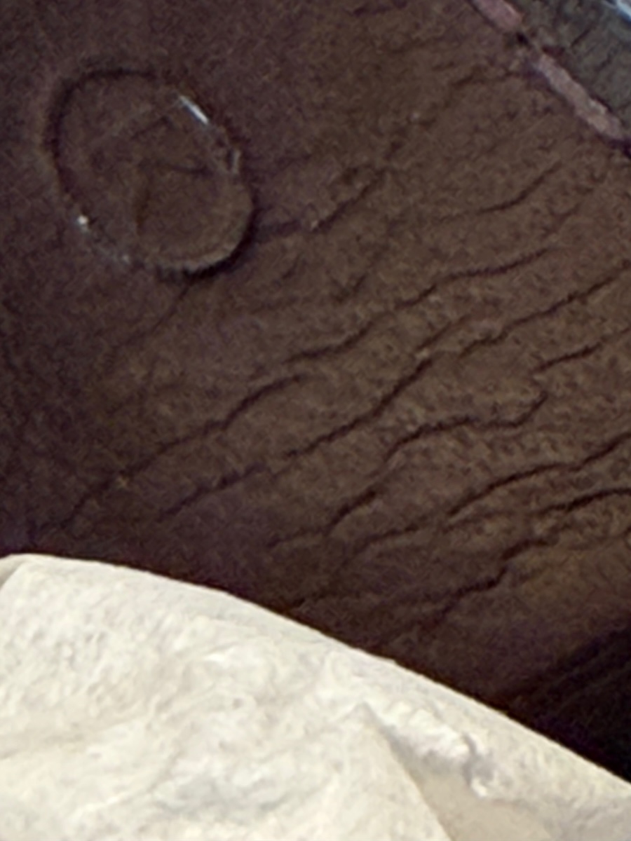 hermÈs vintage rare lydie caiman crocodile(○) stamp brown bag ghw 1981